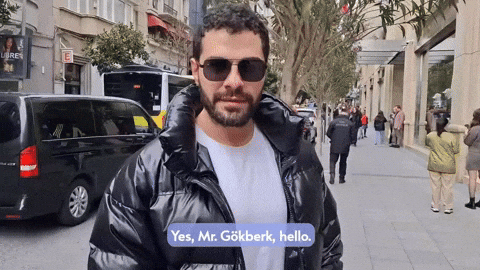 safaGok göki GIF