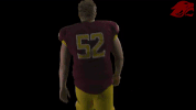football GIF by CUCougars
