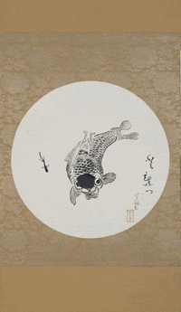 Fish GIF by GIF IT UP