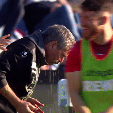 1 Fc Cologne Football GIF by 1. FC Köln