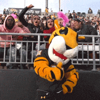 towsonuniversity yes thumbs up goodjob doc GIF