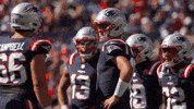 Football Nfl GIF by New England Patriots