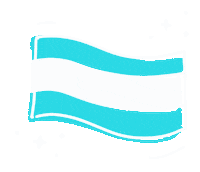 Argentina Flag Sticker by BichoCanasto