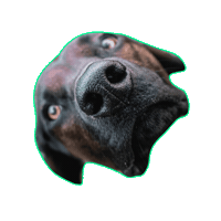 Щенок Sticker by Romtat Farm