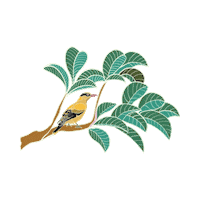 Bird Orioles Sticker by Binary Style