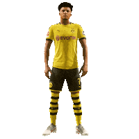 Borussia Dortmund Football Sticker by EA SPORTS FC