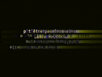 nicolaslalonde glitch vhs glitchart videosynthesis GIF
