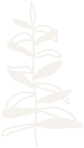 Hand Lettering Sticker