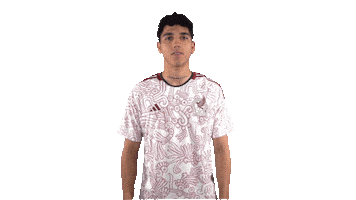 World Cup Football Sticker by MiSelecciónMX