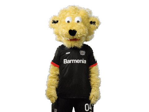 Swipe Down Bayer 04 Sticker by Bayer 04 Leverkusen