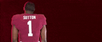 Football Roll Pards GIF by Lafayette Leopards