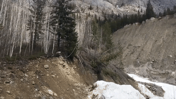 Mountaineers Witness Avalanche Up Close in Canada's Rocky Mountains