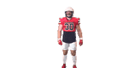 Defense Wheeler Sticker by Richmond Spiders
