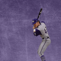 Baseball Wesleyan GIF by KWC Panthers