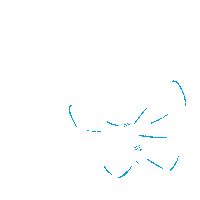 franziskamueller dance nature animal fly Sticker