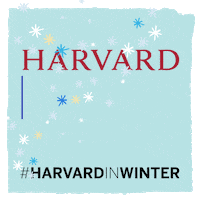 Harvard University Haa GIF by Harvard Alumni Association