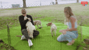 Dog Reaction GIF by Married At First Sight