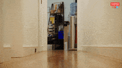 Dog Reaction GIF by Married At First Sight