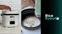 Mango Sticky Rice At Home | Rice Robot