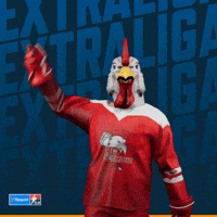 Hockey Hokej GIF by Tipsport extraliga
