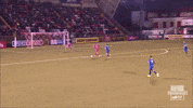 Goal Chip GIF by Cliftonville Football Club