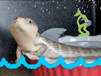 twerk lizard GIF by Display Name