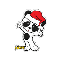 Panda Hope Sticker by CasaHope