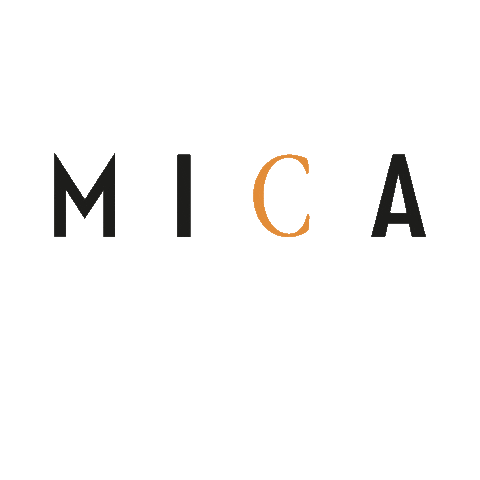 micaacademy academy mica wella parrucchieri Sticker