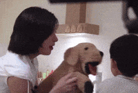 Dog Bae GIF