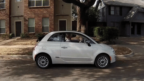 fun ad GIF