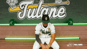College Baseball Banks GIF by GreenWave
