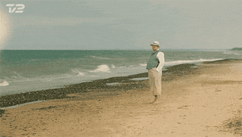 waving tv 2 GIF by Badehotellet