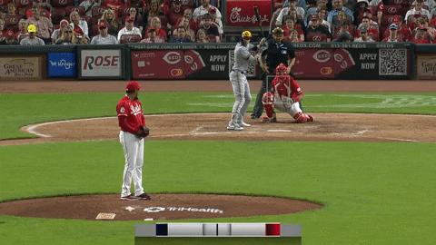 estee42 giphyupload GIF