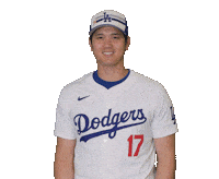 Los Angeles Dodgers Wow Sticker by MLB