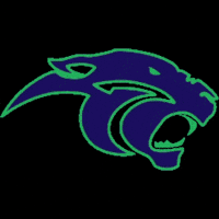 Panther GIF by F45 Training Kemang