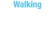 Why I Walk Cancer Research Sticker by Princess Margaret Cancer Foundation