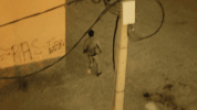 fox running GIF by Prison Break