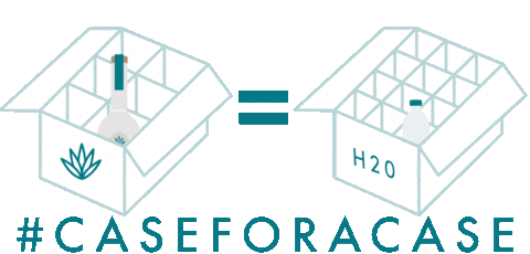 Sticker by Socorro Tequila