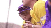 Like A Boss Baseball GIF by LSU Tigers