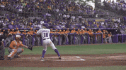 Baton Rouge Baseball GIF by LSU Tigers