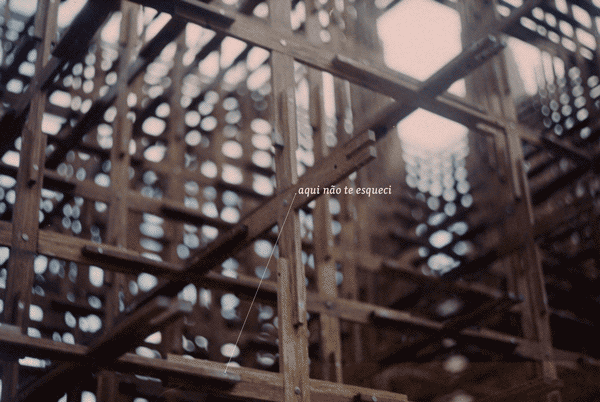 dariojoffily giphyupload GIF