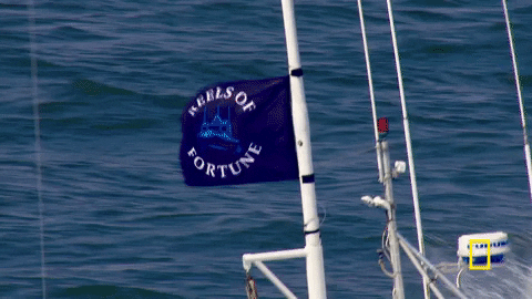wicked tuna GIF by National Geographic Channel