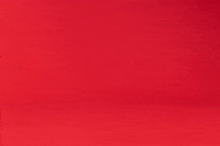 Seasons Greetings Animation GIF by linastopmotion