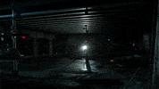 mad city fox GIF by Gotham