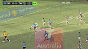 Try Nrl GIF by Canberra Raiders