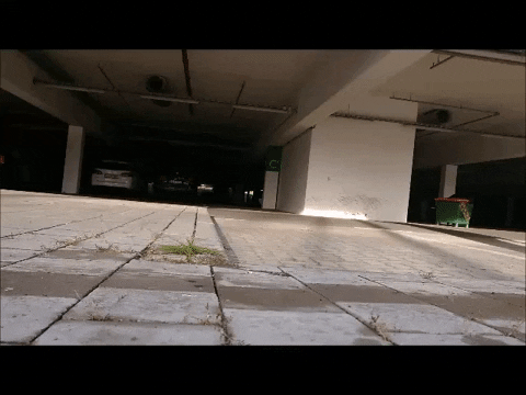 LaraKaa giphygifmaker skateboarding curb roll up GIF