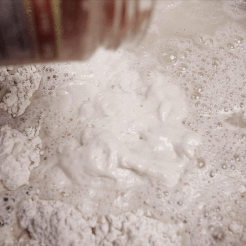 sourdoughdisco disco sourdough GIF