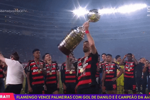 Léo Pereira Do Flamengo Libertadores GIF