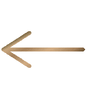 Arrow Sticker by Biossance