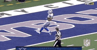 2018 Nfl Football GIF by NFL